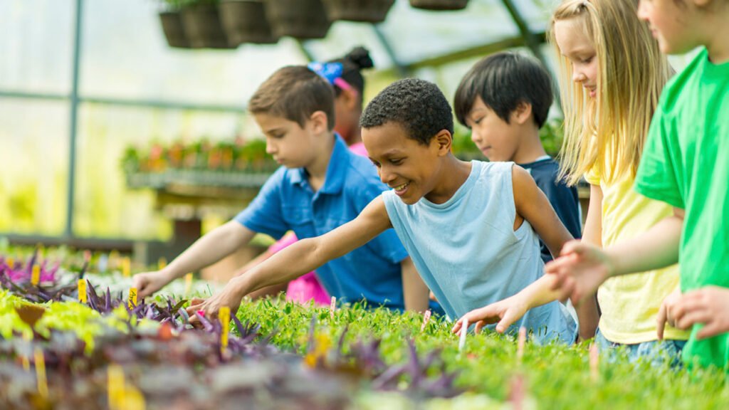 Community Based Programmes Breaking Barriers: The Secret to Successful Community Programs for ...
